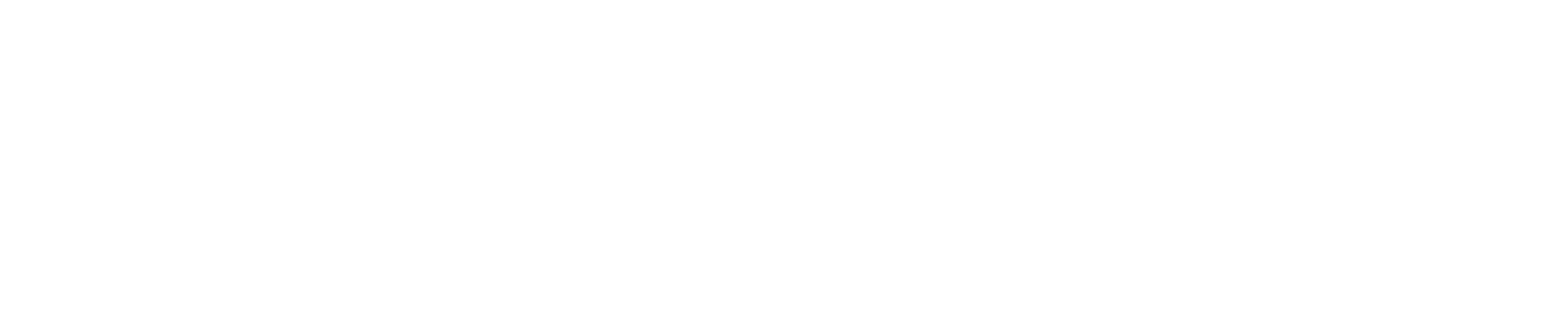 Smile solution Company の確立へ